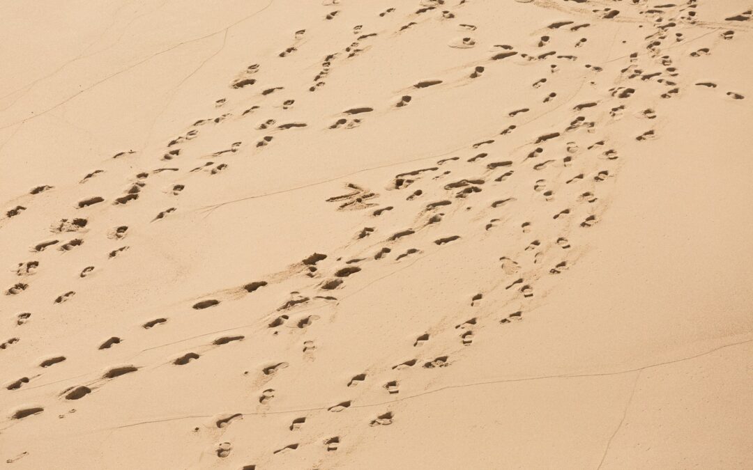 Utilisation de programmes utilitaires privilégiés : Contrôler les outils système dangereux